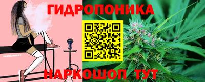 твердый Будённовск