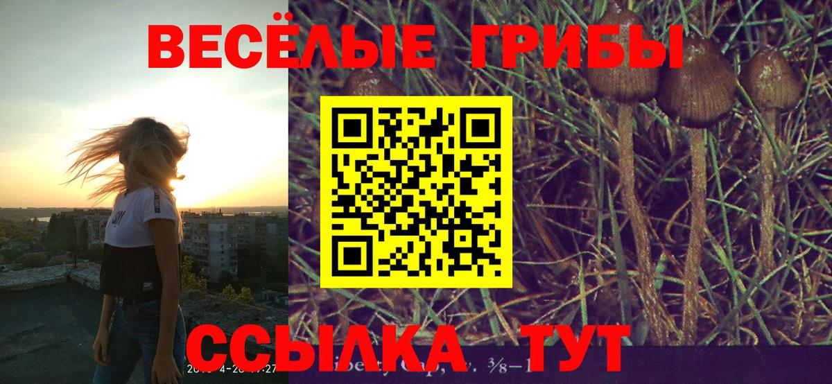 Псилоцибиновые грибы прущие грибы  Вход с VPN  наркотики  Маркс 